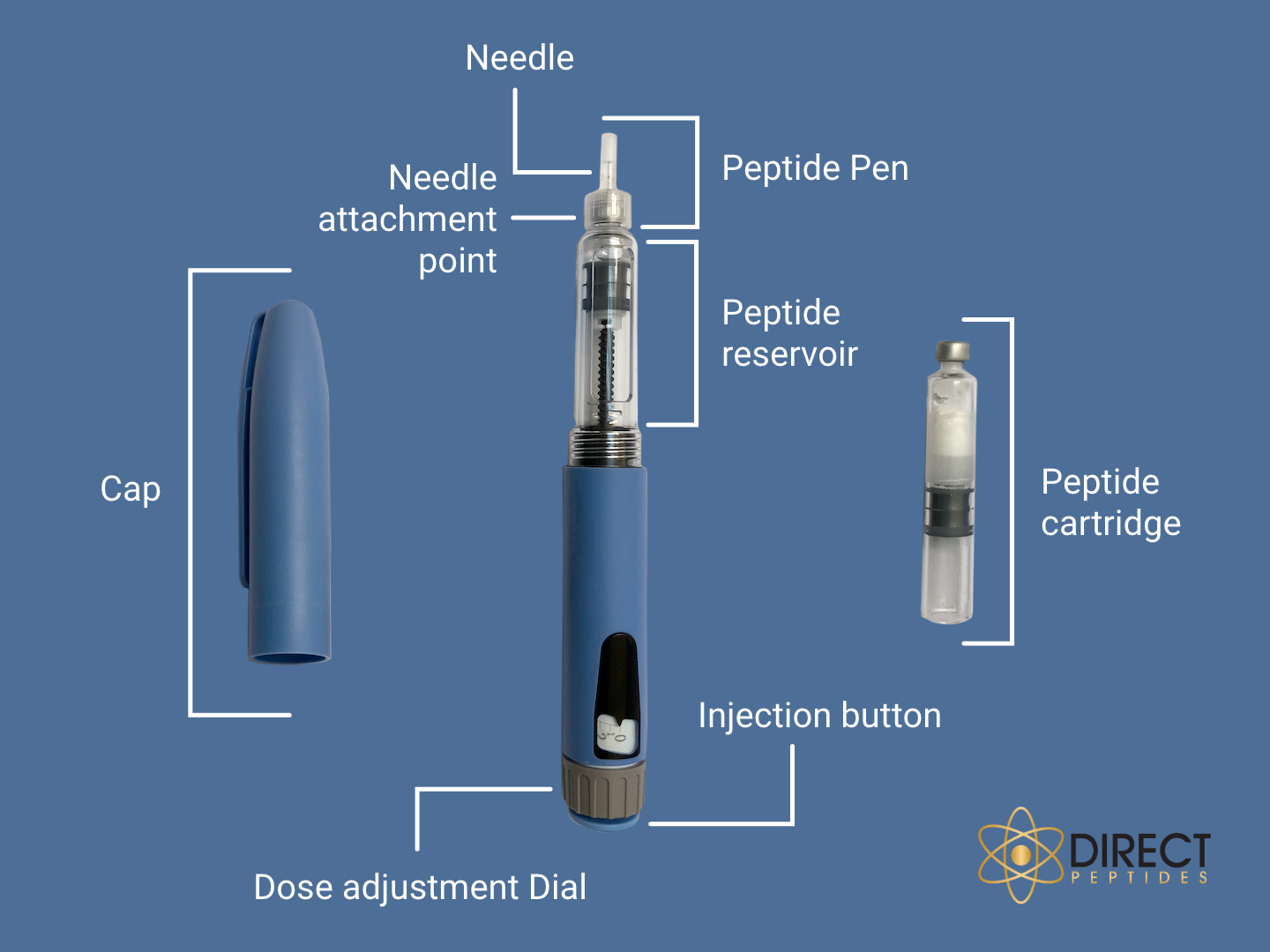direct peptide diagram